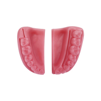 YOUYA DENTAL Juego de 4 Piezas, Modelo de Simulación Dental para Sutura Oral, Equipo de Enseñanza y Entrenamiento de Sutura de Encías
