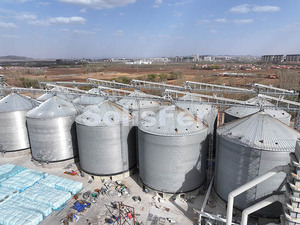 Silos en acier de stockage de soja et de céréales d'une capacité de 2000 tonnes, meilleur prix du produit - Product Image 4
