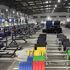 Plaques d'haltères colorées pour la musculation et le fitness Plaques d'haltères vibrantes pour l'exercice et l'entraînement - Product Image 5