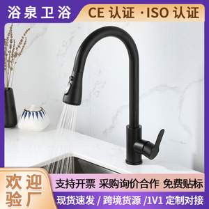Kitchen Faucet Single Handle Pull Out <b>Spray</b> Deck <b>Mounted</b> Contemporary Stainless Steel 2.0-2.9gal/m - Product Image 5