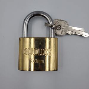 50mm पीतल के रंग सोने टाइटेनियम चित्रित इलेक्ट्रॉनिक मढ़वाया फैक्टरी मूल्य लघु लंबी हिला लोहा ताला - Product Image 3
