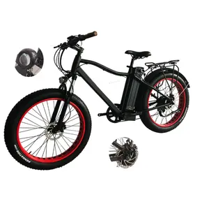 1000w Customized Cargo Ebike Mid Motor Electric Bike Adult With Fat Tire