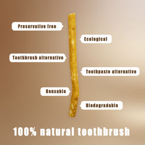 6-pack natuurlijke plantentanden miswak-sticks - vacuüm verpakt traditionele mondverzorging takjes met kruidnagelsmaak voor frisse adem - Product Image 2