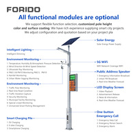 Farola Solar Inteligente FORIDO con Cámara CCTV Opcional, Pantalla LED y Otras Funciones para Proyectos de Alumbrado Público