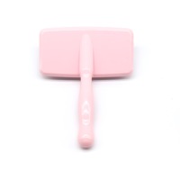 Chat pour animaux de compagnie Chien Toilettage En Acier Inoxydable Broche Courte Brosse Slicker
