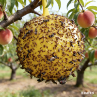 Haierc Vliegenvanger Binnen, Kleverige Vliegenvangerbal, Hangende Vliegenvanger Buiten, Insectenvanger, Wesp- en Muggenvanger, Vliegende Insectenbal, Wespenval