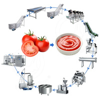 Ligne de production de purée de tomates OCEAN entièrement automatique Machine commerciale de fabrication de petite sauce tomate