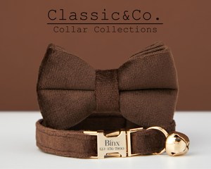 Sô Cô La Veet Cá Nhân Mèo & Con Chó Nhỏ Cổ Áo Cung Dây Xích Thiết Lập, Tùy Chỉnh Khắc Mèo Con Con Chó Con Tên Tag, Miễn Phí Chuông Vàng, Nam - Product Image 2