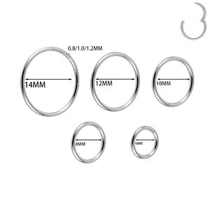 G23 Titanlegierung Eloxierte Mehrfarbige Piercing-Schmuckstücke Nahtlose Ringe für Ohren Septum-Ringe Punk-Stil Gemischte Chargen Unterstützt - Product Image 4