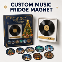 Lecteur magnétique de musique personnalisé pour réfrigérateur, mini lecteur de disques vinyles magnétique avec disques à motifs interchangeables, coffret cadeau pour ami