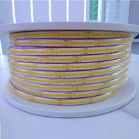 Lumières LED pour décoration de piscine extérieure, étanches IP68, découpables, 12W/M, PCB 10mm, 3000K 4000K 6000K, blanc chaud naturel, lumières en bande