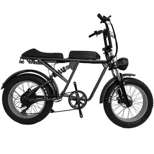 20 FAT TIRE FULL SUSPENSION EUROPE Electric Bicycle [FP-EB22013]