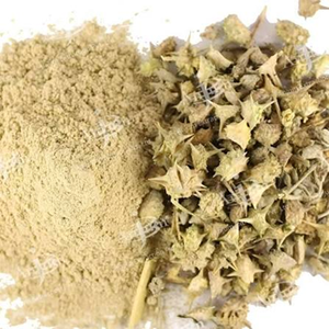 ผงสารสกัดแห้งจากต้นโกคูรุ (Tribulus Terrestris) คุณภาพพรีเมียม วัตถุดิบสมุนไพรธรรมชาติสำหรับอาหารเสริมเพื่อสุขภาพ - Product Image 6