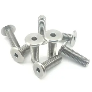 Customized High Quality Stainless Steel Ultra Low Head Socket Cap Screws CBSTSR2.5-10