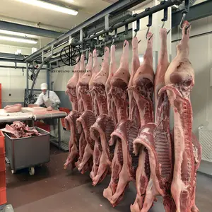 Peralatan pemotongan daging babi tabur Abattoir garis mesin pemotongan rumah dengan ruang dingin daging sistem jalur beku cepat