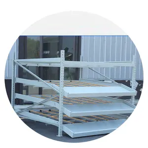 China Steel Storage Shelving with Gravity Cart Corrosion Protection Roller Storage Rack Carton Flow Rack Industrial Rack System