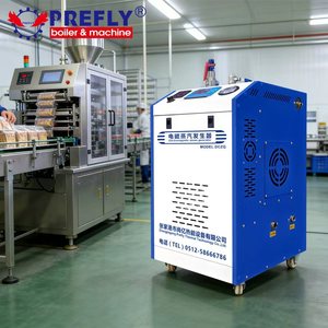 Générateur de vapeur électrique à démarrage rapide et peu encombrant de 36 kW, chaudière facile à installer pour des systèmes de chauffage efficaces - Product Image 1