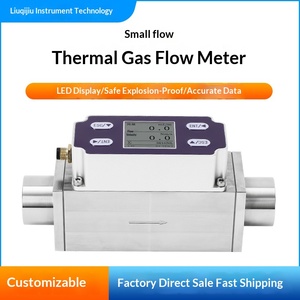 Hj高精度熱式インテリジェントディスプレイガス質量流量計機器 アルミニウム合金 3～200m/h 測定範囲 2年保証 - Product Image 4