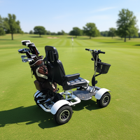 Voiturette de golf à moteur 1000W pour un seul joueur handicapé, buggy de golf/scooter de golf avec garde-boue