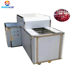 Machine à retirer les noyaux de cerises en acier inoxydable, dénoyauteur de cerises pour l'exportation de cerises en conserve et l'emballage de fruits en <span class=keywords><strong>vrac</strong></span> - Product Image 3