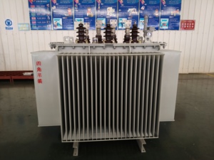 Transformateur triphasé immergé dans l'huile S11-1000KVA 10/0.4, Cuivre ou Aluminium, 380 Volts, 50/60 <span class=keywords><strong>Hertz</strong></span>, Fabricant - Product Image 5