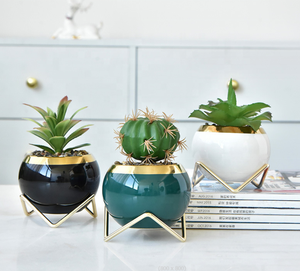 Vaso per <span class=keywords><strong>Piante</strong></span> Succulente in Ceramica Moderno e Carino con Struttura in Metallo, Elegante, Durevole ed Ecologico - Product Image 3