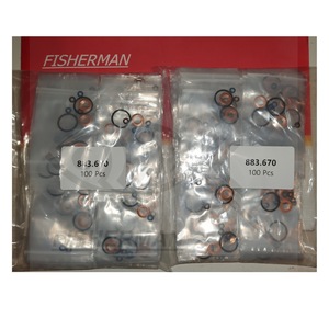 Kit de joints d'injecteur FKM 883.670, diamètre intérieur 100 mm, pour pompes à injection de carburant BMW 1.6 TDI CAYB CAYC - Product Image 2