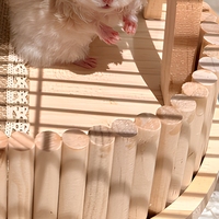Plateforme en bois pour hamster, escalier, maison de jardin, accessoire décoratif carré pour cage, intérieur