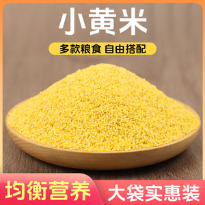 Alimento para Aves de Mijo Amarillo, Forma Redonda, Ecológico, Venta al Por Mayor - Product Image 1