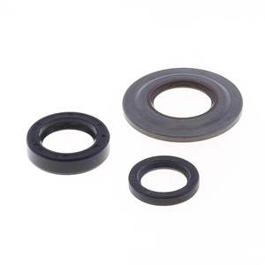 Kit de juntas de aceite - Product Image 1