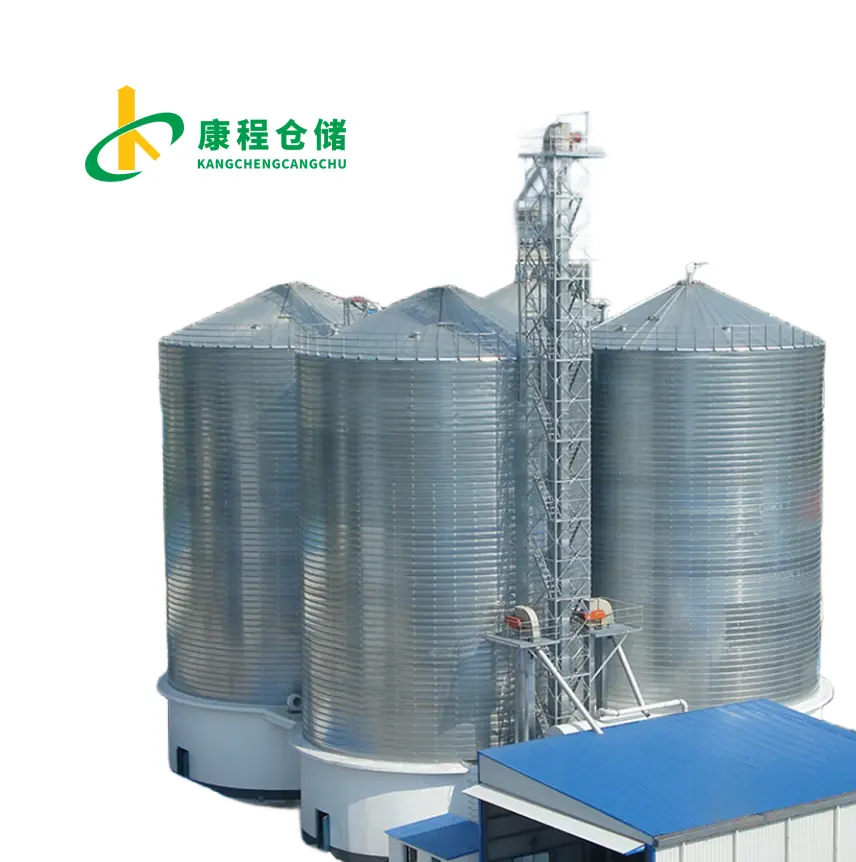 1000 Tons Of Large Barn Vertical Corn Silo Outdoor Grain Air Drying Warehouse