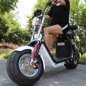 X7 Ce Citycoco Sang Trọng Điện Scooter 2000 Wát Seev Di Động 3000 Wát Fat Tire Xe Đạp Điện Scooter Điện Xe Máy