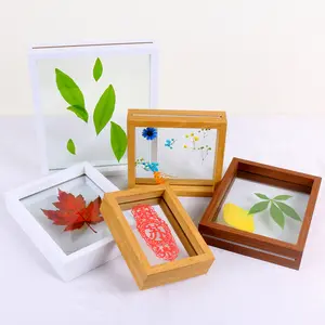 DIY double-sided glass transparent photo frame table leaf specimen embossed paper-cut picture frame