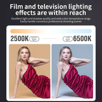 Yiscaxia Lampe de Remplissage Vidéo et Photographie COB à Double Température de Couleur 80W, Lampe LED Professionnelle Portable avec Abat-jour, Mini Bowens