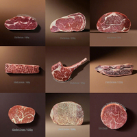 Modèle de nourriture factice en forme de steak de bœuf artificiel réaliste pour l'affichage en congélateur des supermarchés, l'entraînement des bouchers et la photographie