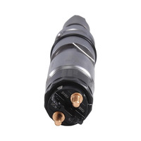 0445120296 Inyector de Combustible Diésel para Motor Diésel, Inyector Common Rail