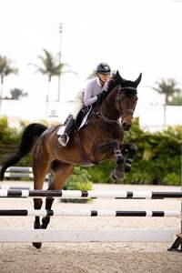 Kit Profesional de Obstáculos para Salto Ecuestre con Estructuras Resistentes y Barandillas Brillantes para Clubes Ecuestres y Arenas - Product Image 4