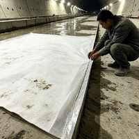Композитная геомембрана (HDPE/LDPE) для защиты от проникновения и разрывов, прочная, водонепроницаемая, для прудов, рыбоводческих хозяйств, плотин, оснований и укрепления грунта