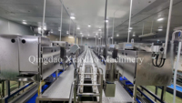 Machine de production continue en acier inoxydable 316 pour l'épluchage et le déveinage des crevettes rouges argentinies Vannamei et des crevettes roses