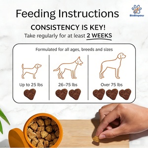 Complément alimentaire pour chien OEM/ODM à mâcher souple pour le système immunitaire des animaux de compagnie Probiotiques naturels pour chiens - Enzymes digestives pour la flore intestinale - Product Image 4