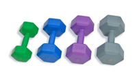 Ensemble d'haltères hexagonales en plastique de 5 kg pour entraînement à domicile, rempli de ciment et de sable, personnalisable OEM JS JS-1710, pour exercices de fitness complets, MOQ
