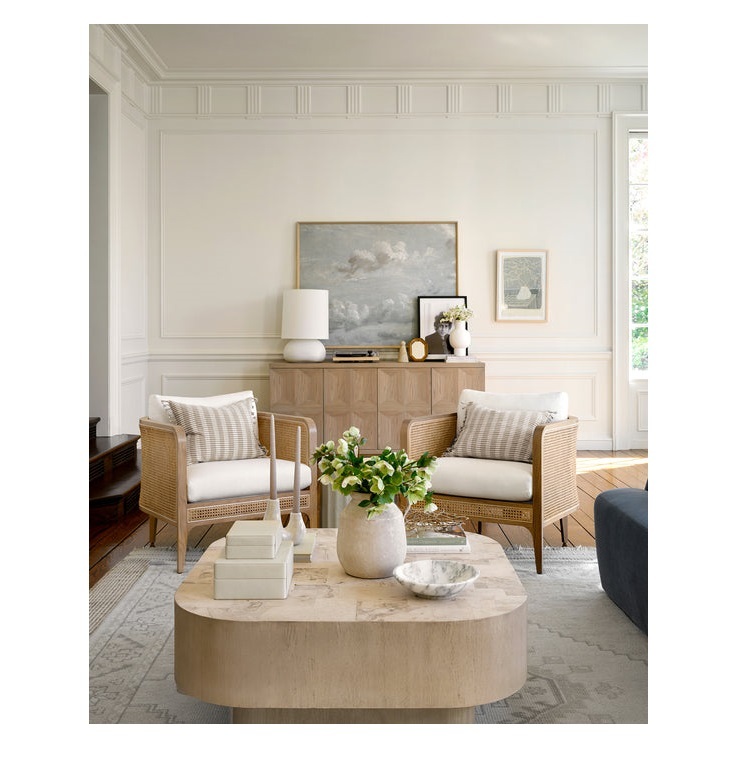 Rattan Living Room Chair Indoor Furniture