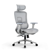 Chaise de bureau exécutive moderne et contemporaine en maille, avec support lombaire, robuste, appuie-tête réglable 4D, pivotante, ergonomique, base chromée