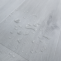 Suelo SPC con Sistema de Bloqueo, Color Gris Frío, Diseño de Madera, Resistente a los Arañazos, para Espacios Comerciales Modernos, WYRAX