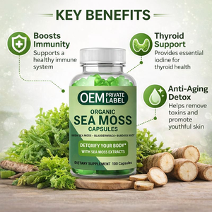 تصنيع المعدات الأصلية علامة خاصة عضوي طحلب بحري لثوم طبيعي مع نكهة مخصصة - Product Image 3