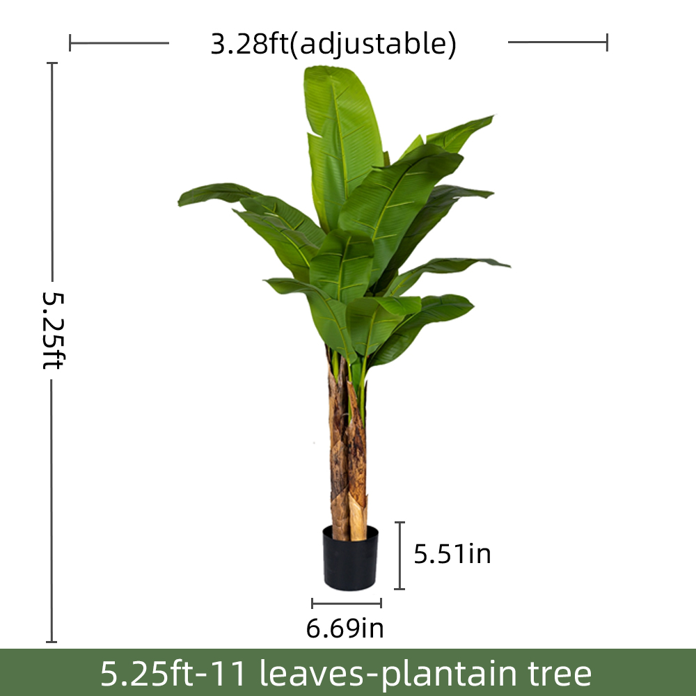 5.3FT/160CM
