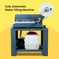 Nieuwe Verpakking Trend Automatische Luchtkolom Water Vulmachine Voor Voedsel Koude Keten Transportverpakking