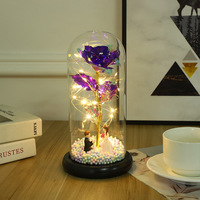 Roses en feuille d'or 24 carats populaires et créatives avec lumière LED lumineuse de Noël, dôme en verre pour cadeau de fête des mères, Saint-Valentin