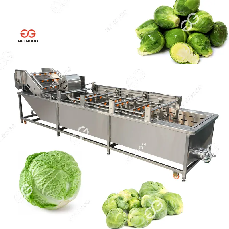 Kommerzielle 500-1.000kg/std. Kohl-Seifenblasenreinigungsmaschine Obst- und Gemüsewaschmaschine