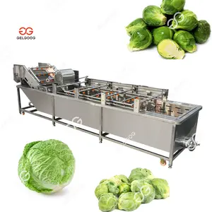 Commercial 500-1000kg/h Cabbage Bubble Washer Cleaning Machine Fruit And Vegetable Washing Machine